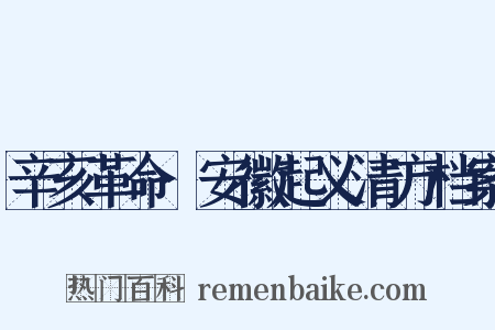 辛亥革命·安徽起义清方档案是什么意思的图片